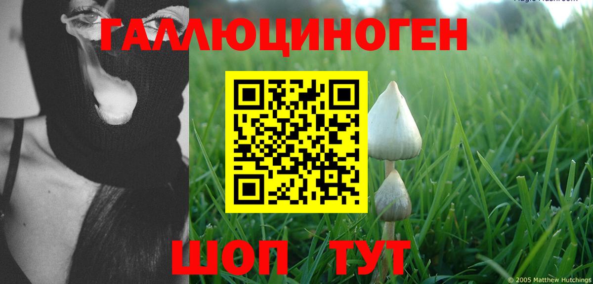 Псилоцибиновые грибы Magic Shrooms Сухой Лог